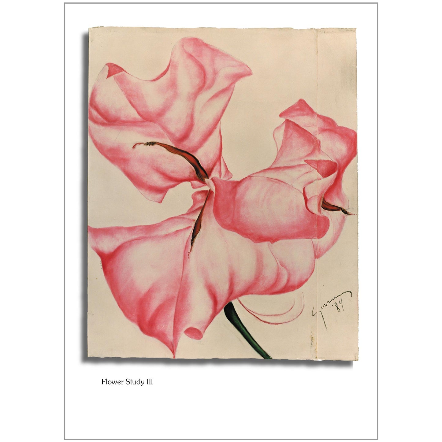 Flower Study III Note Card