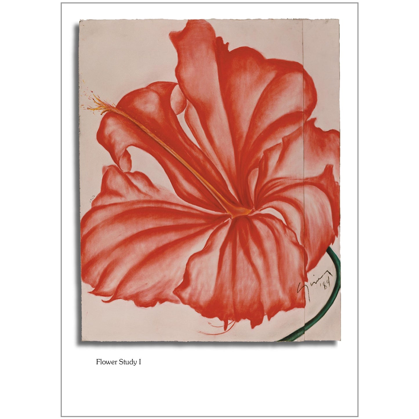 Flower Study I Note Card