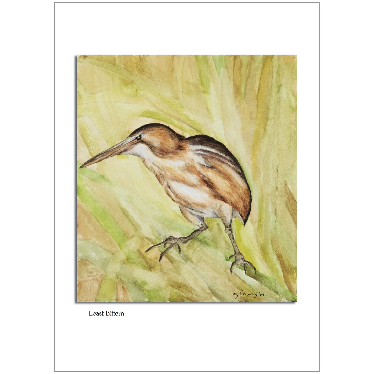 Least Bittern Note Card