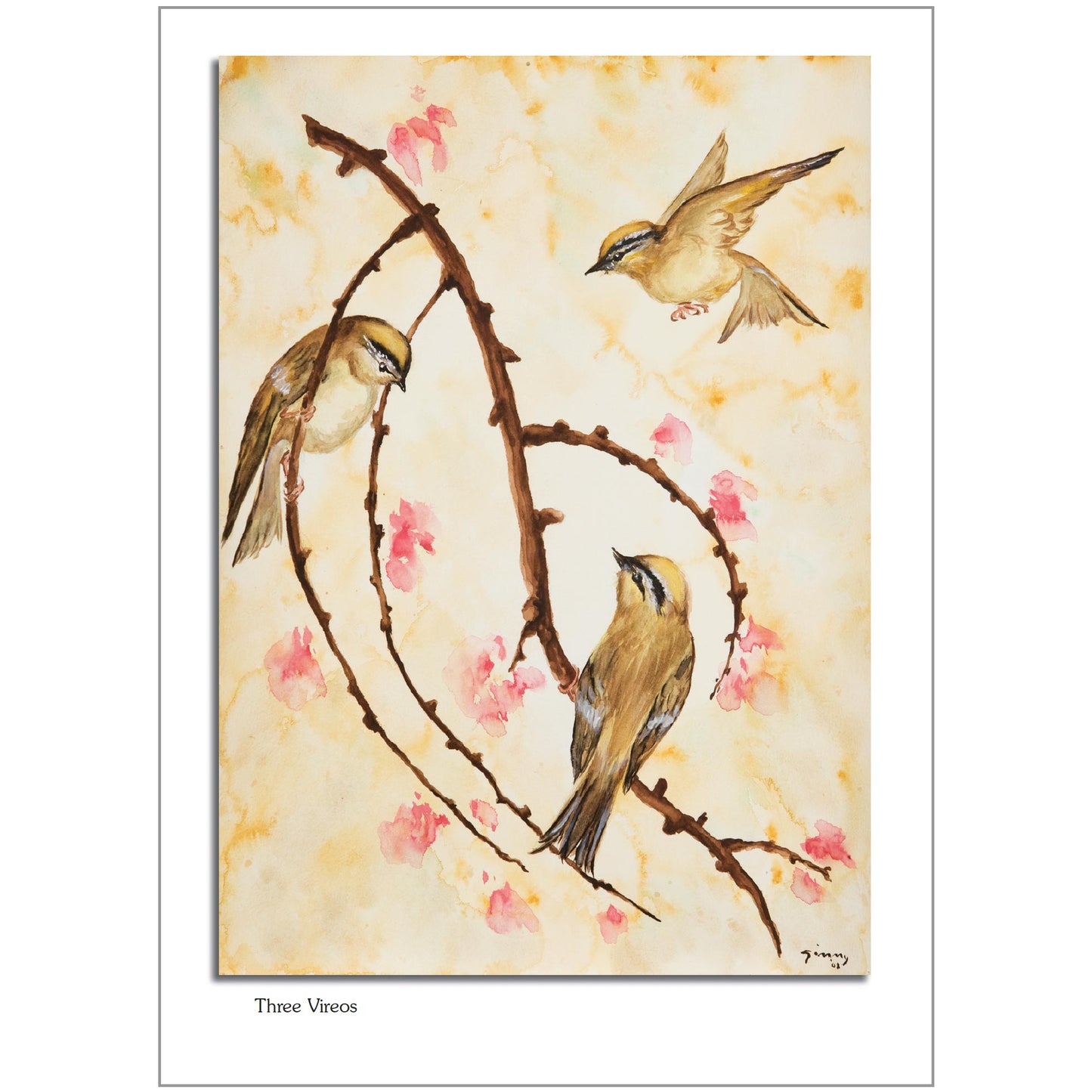 Three Vireos Note Card