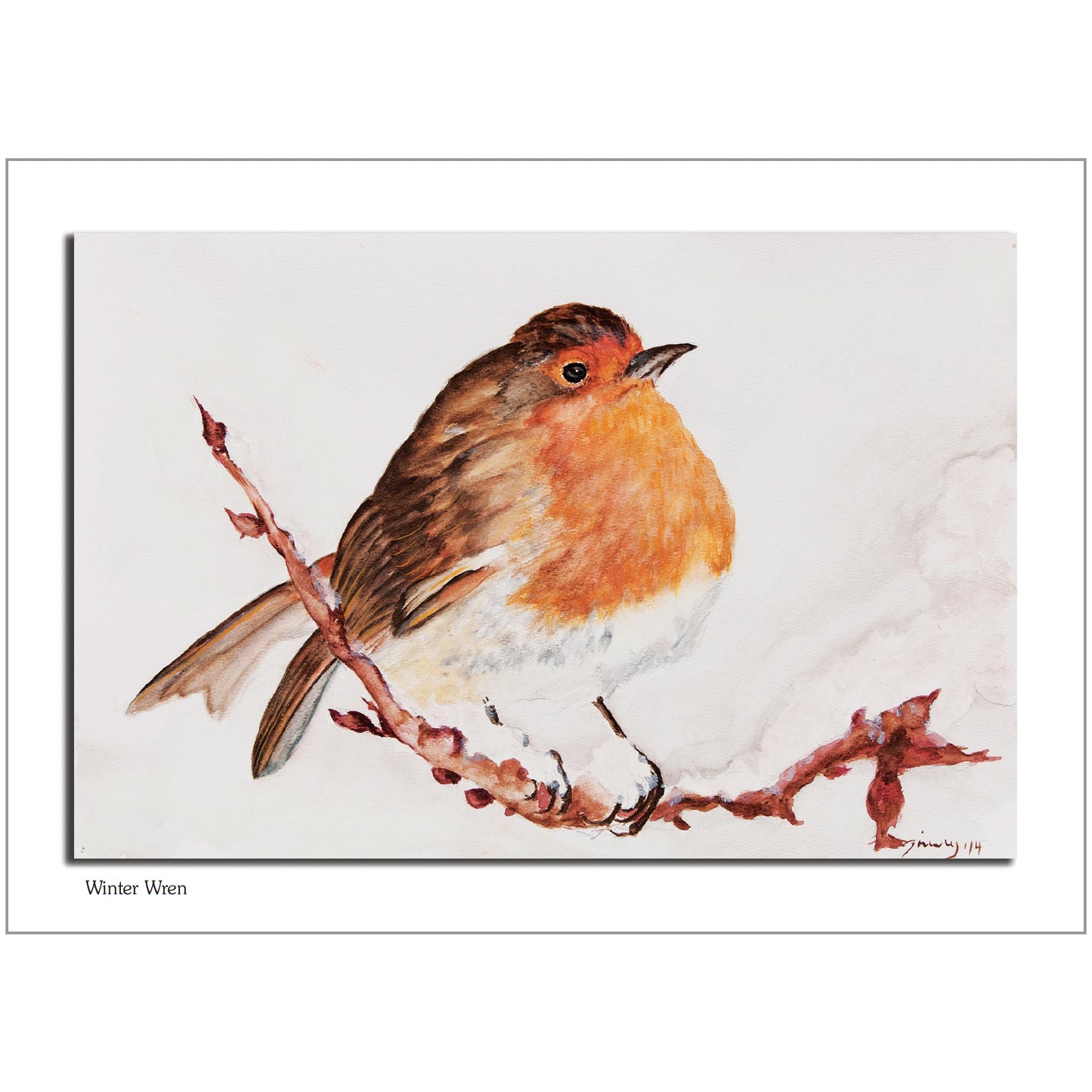 Winter Wren Note Card