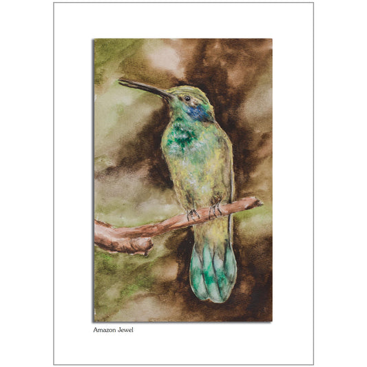 Amazon Jewel Note Card