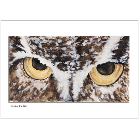 Eyes of the Owl Note Card