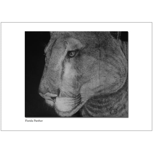 Florida Panther Note Card