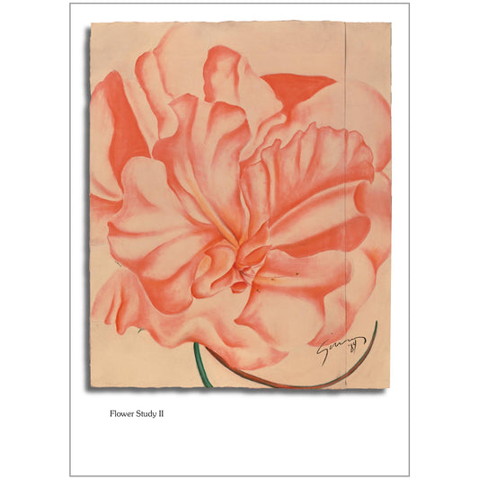 Flower Study II Note Card