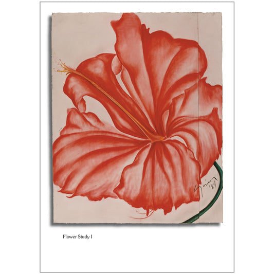 Flower Study I Note Card