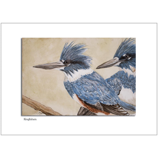 Kingfishers Note Card