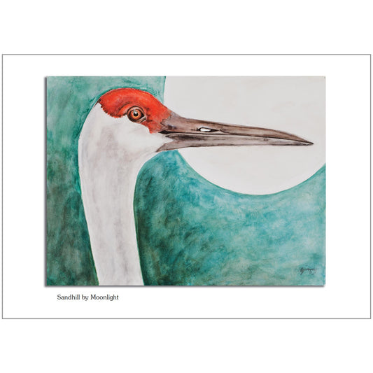 Sandhill by Moonlight Note Card