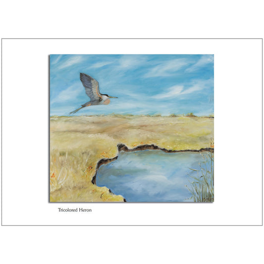 Tricolored Heron Note Card