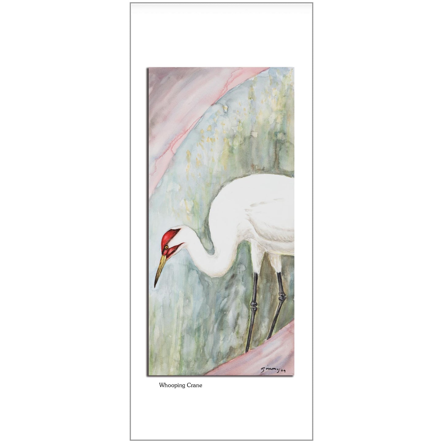 Whooping Crane Note Card