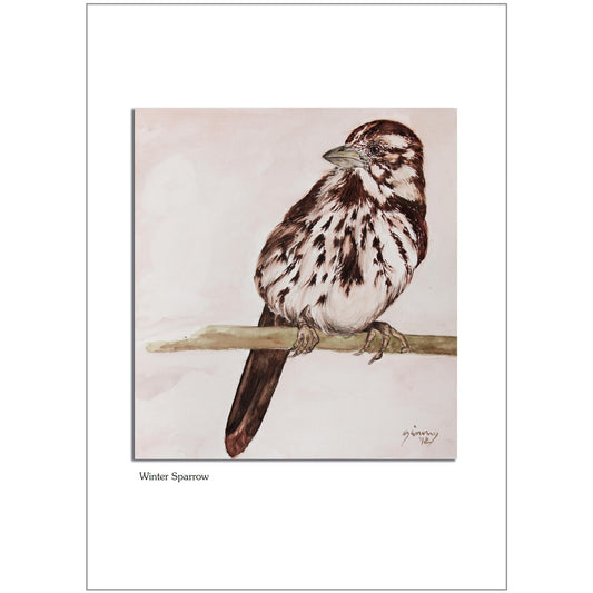 Winter Sparrow Note Card